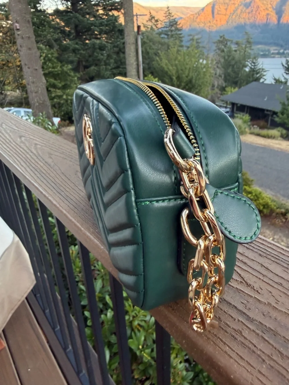 Green Chevron Camera Bag